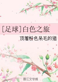 [足球]白色之旅